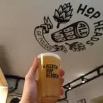Test Pilot from Track Brewing Company