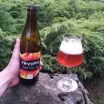 India Pale Ale from Browar Revolta