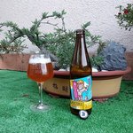Experimental Summer Ale from Doctor Brew