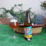 Experimental Summer Ale from Doctor Brew