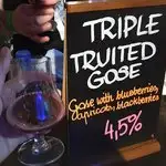 Triple Fruited Gose from North Brewing Co