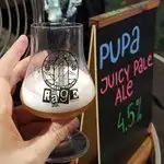 Pupa from Vibrant Forest Brewery