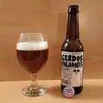 Cerdos Voladores from Barcelona Beer Company 
