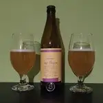 Discoveries Sour Passion from BeerLab