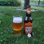 Miłosław Single Hop Saison IPA from Browar Fortuna
