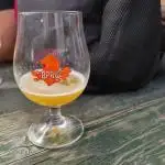 Phages from Finback Brewery
