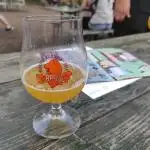 Valencia Orange Session Sour IPA from Vault City Brewing